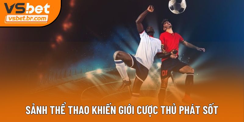 Sảnh thể thao khiến giới cược thủ phát sốt